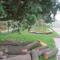 IMG_1810.JPG (491x368, 40.34 KB)