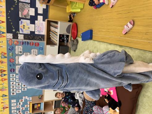 IMG_8222.jpeg, 492x369, 38.95 KB