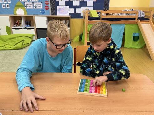 IMG_8213.jpeg, 492x369, 35.10 KB