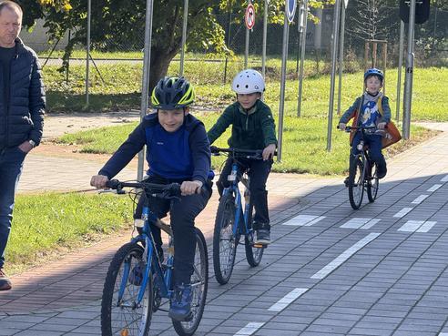 IMG_8512.jpeg, 492x369, 51.88 KB