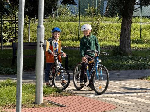 IMG_8517.jpeg, 492x369, 56.61 KB