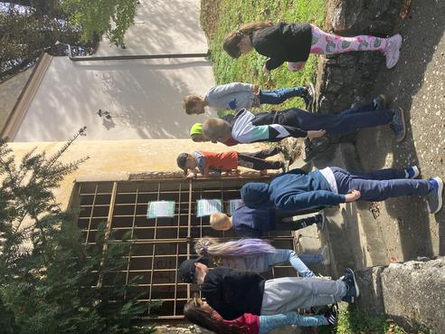 IMG_3777.jpeg, 492x369, 46.05 KB