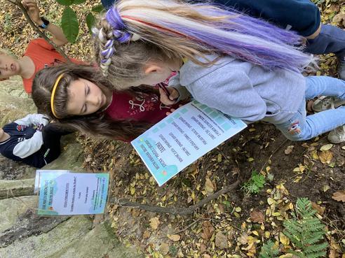 IMG_3782.jpeg, 492x369, 54.09 KB