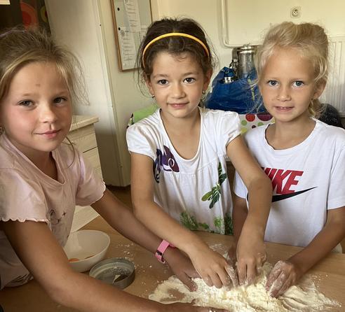 IMG_2700.jpeg, 492x446, 38.30 KB