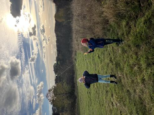 IMG_4185.jpeg, 492x369, 38.47 KB