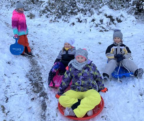 IMG_5368.jpeg, 492x416, 53.58 KB