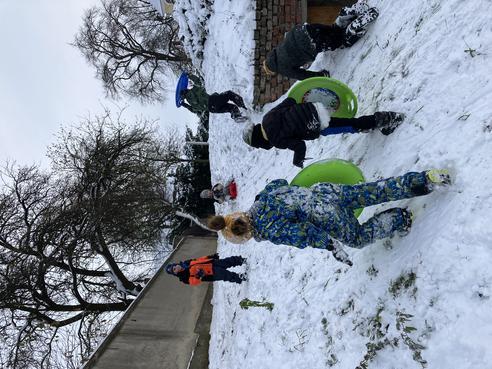 IMG_5393.jpeg, 492x369, 49.95 KB