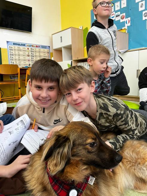 2238371d-c4a3-47a2-a34e-3c1453fe8c5b.jpeg, 492x656, 66.63 KB