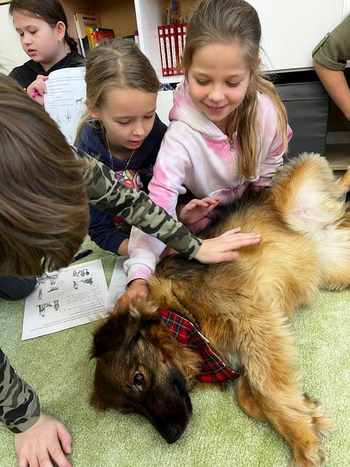 8b702e13-2fdd-4cd9-9ba9-32753e5b76ee.jpeg, 492x656, 71.46 KB