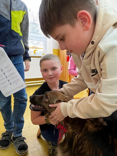 49999a89-c34b-408f-a7e8-863ed994386c.jpeg, 492x656, 51.40 KB