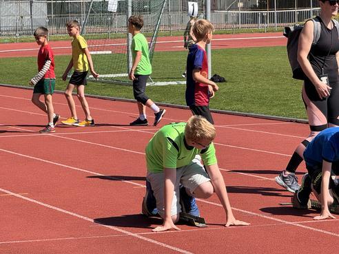 IMG_1738.jpeg, 492x369, 44.81 KB