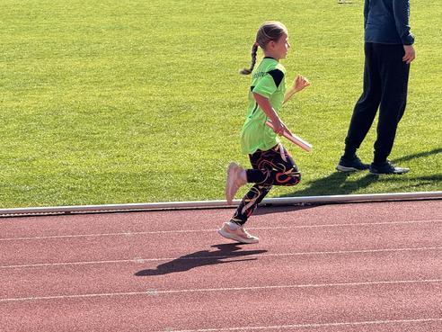 IMG_1722.jpeg, 492x369, 50.32 KB