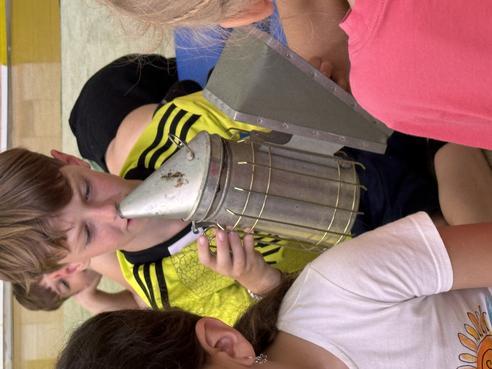 IMG_1901.jpeg, 492x369, 29.70 KB