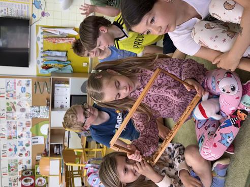 IMG_1896.jpeg, 492x369, 45.15 KB