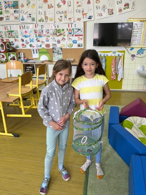 f34a5e5c-cd5c-421a-ac99-a486e975a028.jpeg, 492x656, 67.21 KB