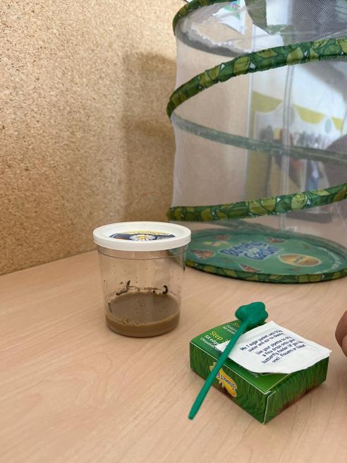 9aeee678-c111-4ab6-b857-bbdc3805f0ab.jpeg, 492x656, 46.66 KB