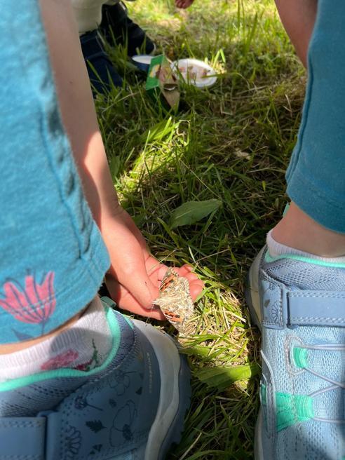 07724254-1dc8-4ed3-89db-aeba1b5aa797.jpeg, 492x656, 60.77 KB