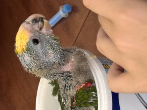 IMG_2434.jpeg, 492x369, 23.70 KB