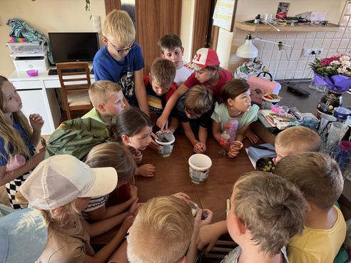 IMG_2429.jpeg, 492x369, 42.50 KB