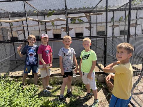 IMG_2413.jpeg, 492x369, 53.29 KB