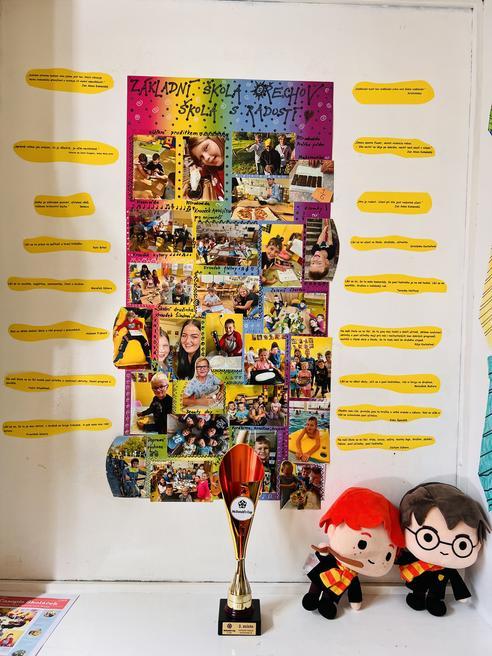 IMG_5006.jpeg, 492x656, 66.37 KB