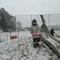 IMG_2918.JPG (492x369, 33.59 KB)