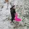 IMG_2922.JPG (492x369, 47.42 KB)