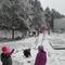 IMG_2908.JPG (492x369, 39.15 KB)