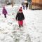 IMG_2915.JPG (492x369, 37.02 KB)