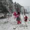 IMG_2914.JPG (492x369, 38.37 KB)