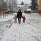 IMG_2927.JPG (492x369, 37.03 KB)