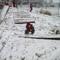 IMG_2932.JPG (492x369, 40.13 KB)