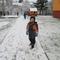 IMG_2929.JPG (492x369, 35.82 KB)