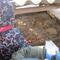IMG_2950.JPG (492x369, 40.14 KB)