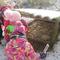 IMG_2954.JPG (492x369, 41.02 KB)